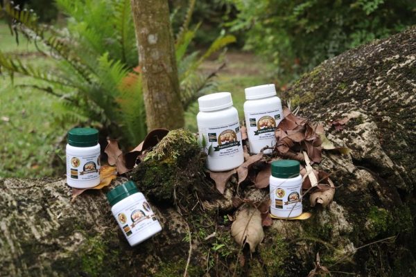 Cogumelo Agaricus NK-CELL® - Agaricus blazei - Imagem 5