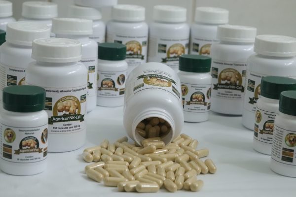 Cogumelo Agaricus NK-CELL® - Agaricus blazei - Imagem 2