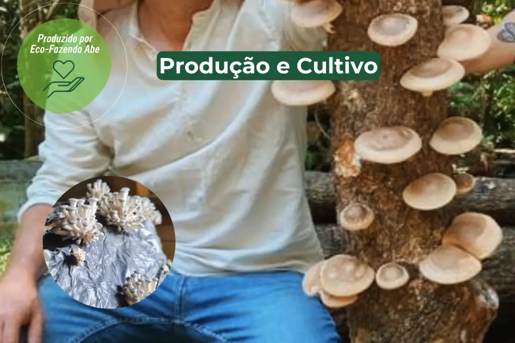 Tora com cogumelos shitake