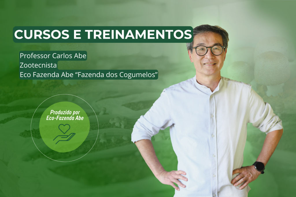 Cursos e Treinamentos