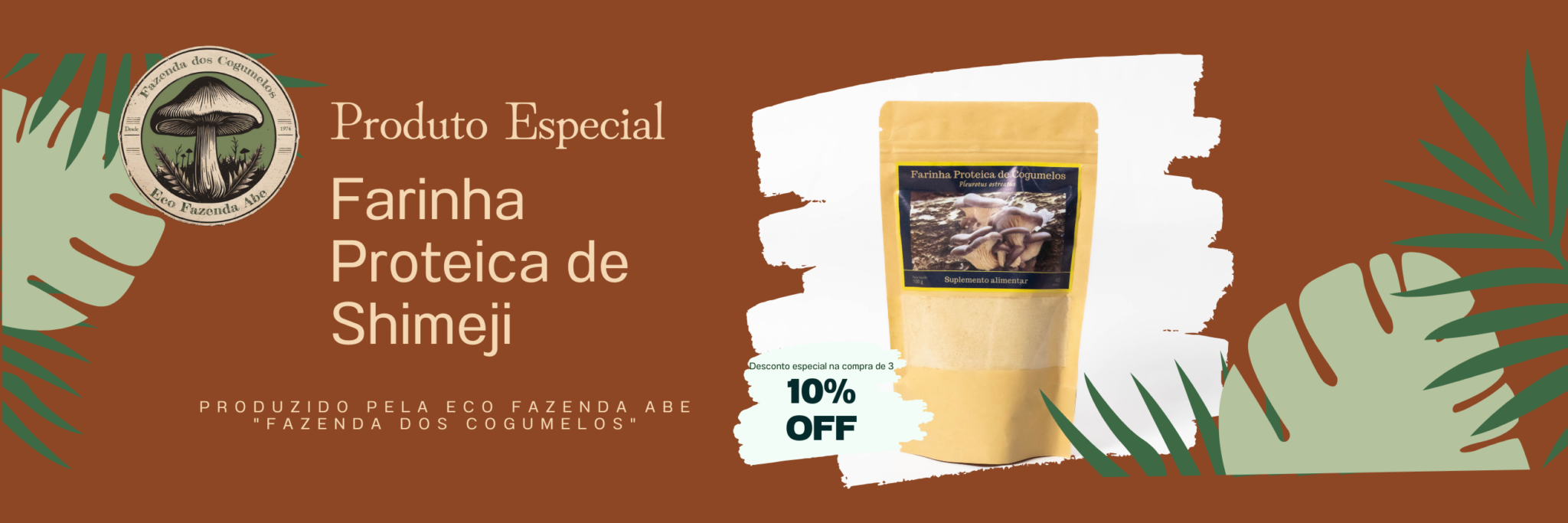 Copy of Oferta Especial! (Billboard (Landscape)) (1)