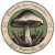 Favicon_Fazenda_dos_cogumelos