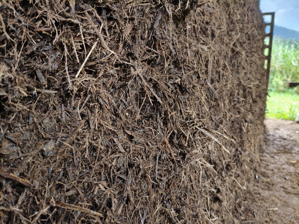 Composto Para Cogumelos
